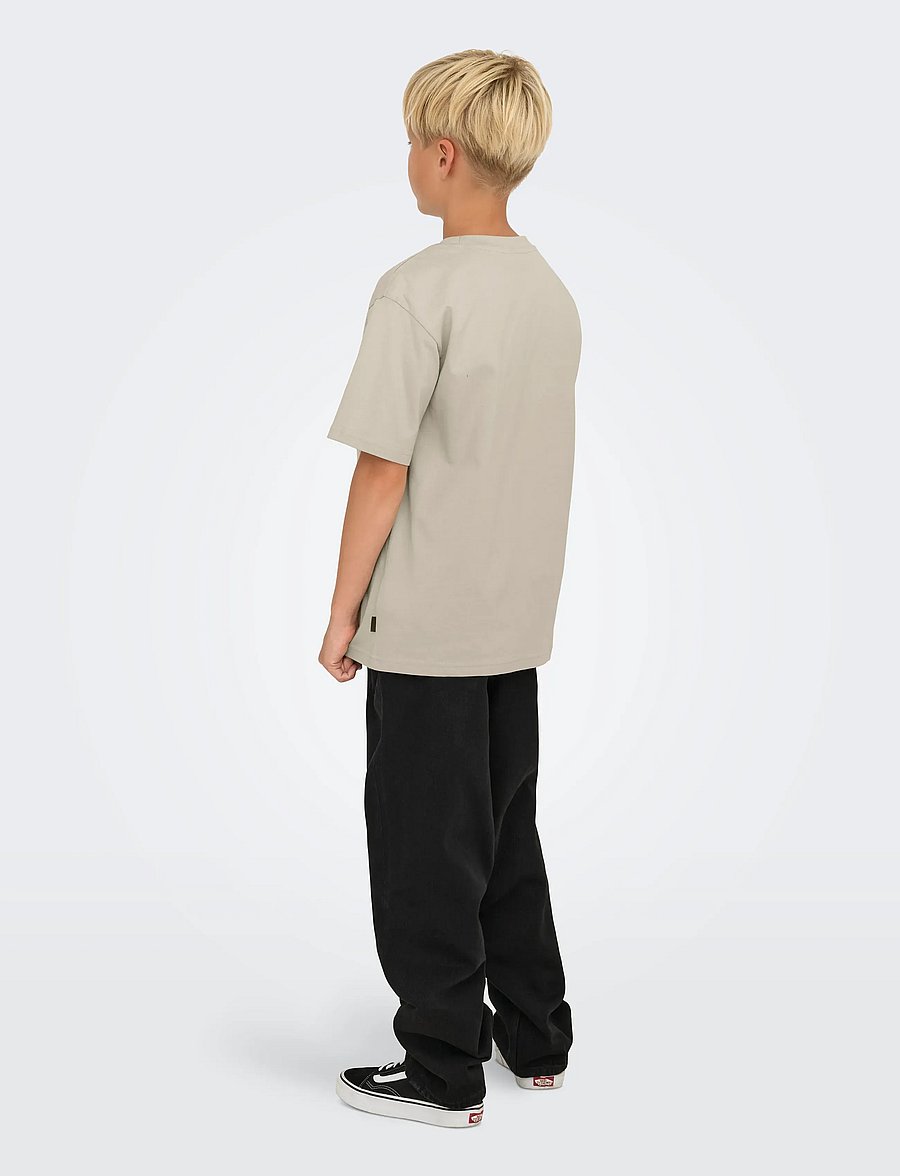 ONLY & SONS - OSJFRED LIFE RLX SS TEE JRS NOOS - kurzärmelige - silver lining - 3