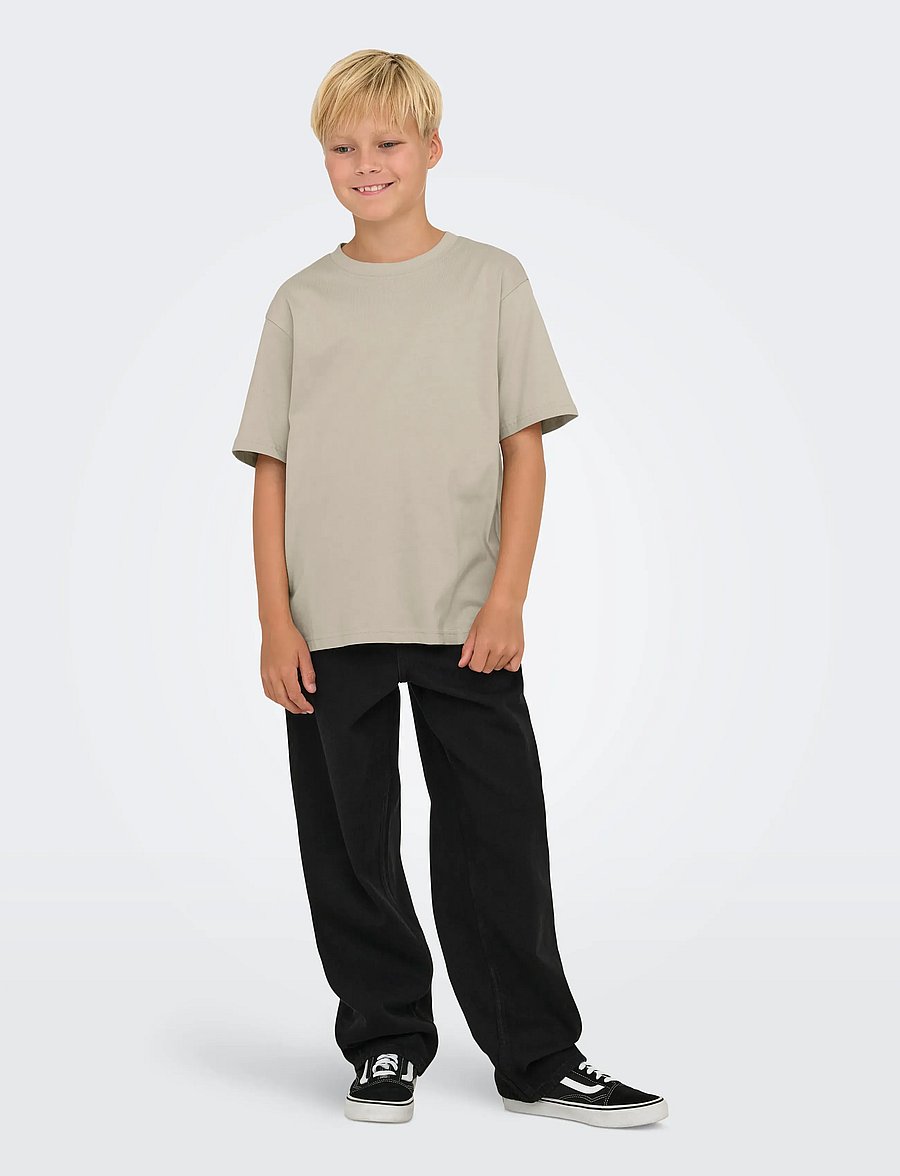 ONLY & SONS - OSJFRED LIFE RLX SS TEE JRS NOOS - kurzärmelige - silver lining - 5