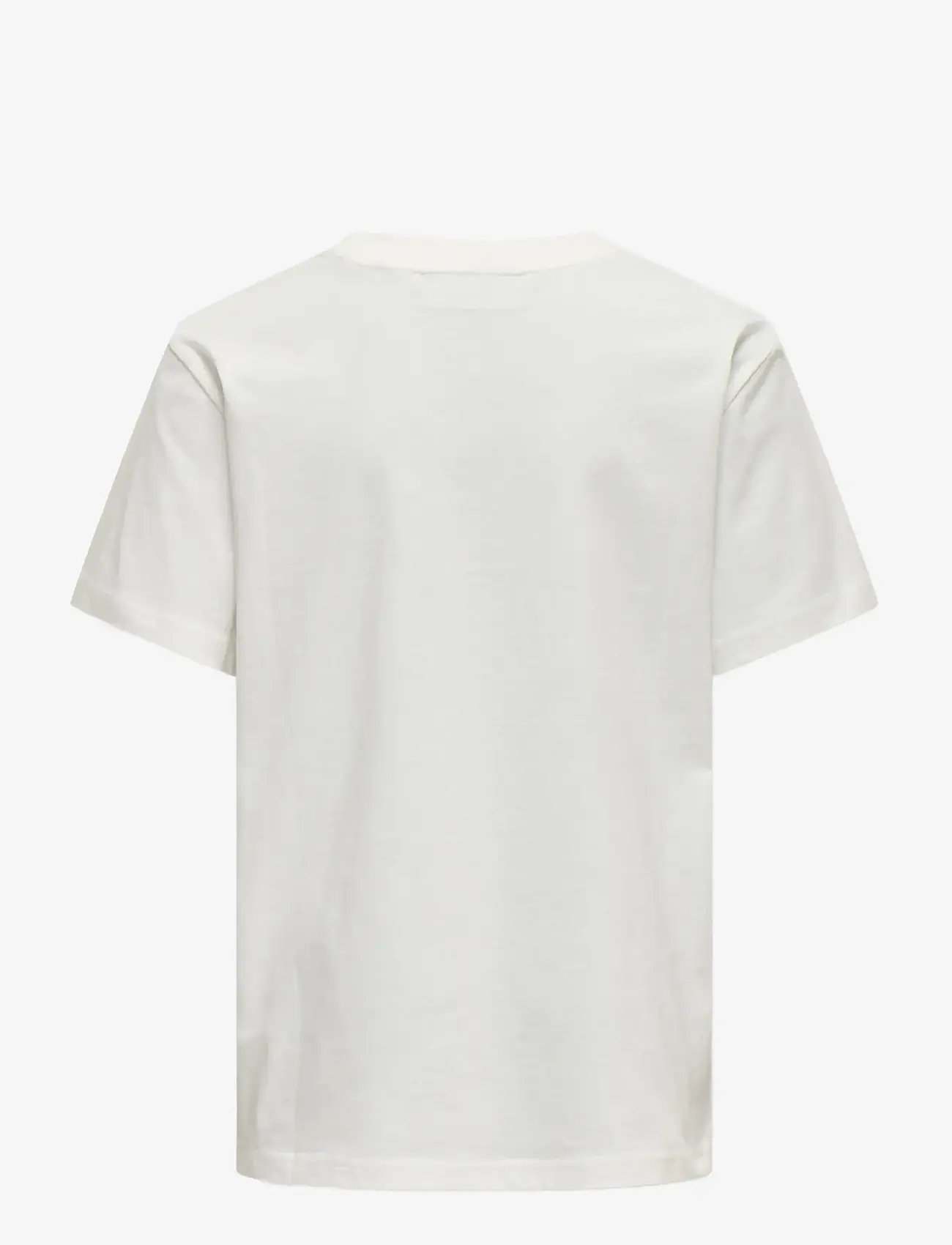 ONLY & SONS - OSJLENNY LIFE REG VINTAGE TEE JRS NOOS - kurzärmelige - cloud dancer - 2