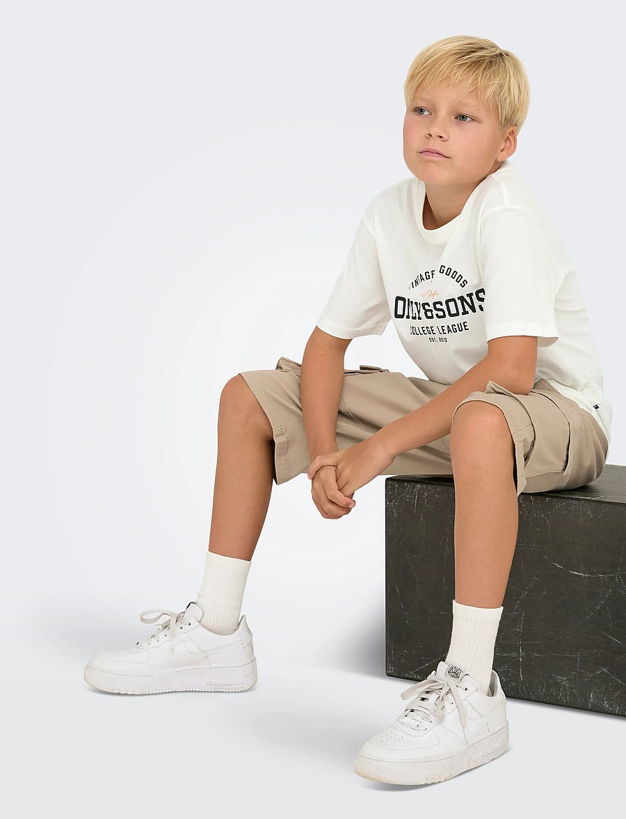 ONLY & SONS - OSJLENNY LIFE REG VINTAGE TEE JRS NOOS - kortærmede t-shirts - cloud dancer - 4
