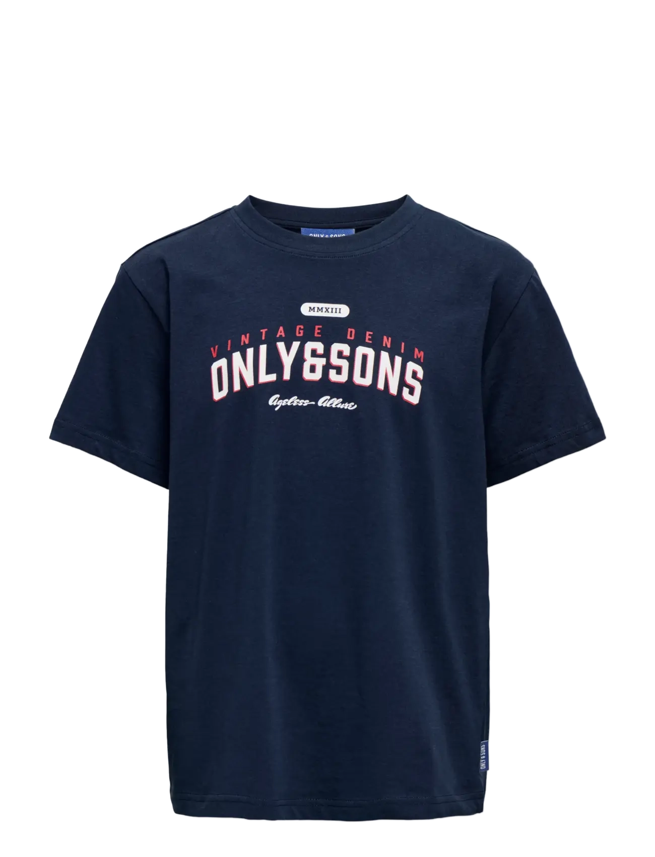 ONLY & SONS OSJLENNY LIFE REG VINTAGE TEE JRS NOOS - Tøj - NAVY BLAZER / navy