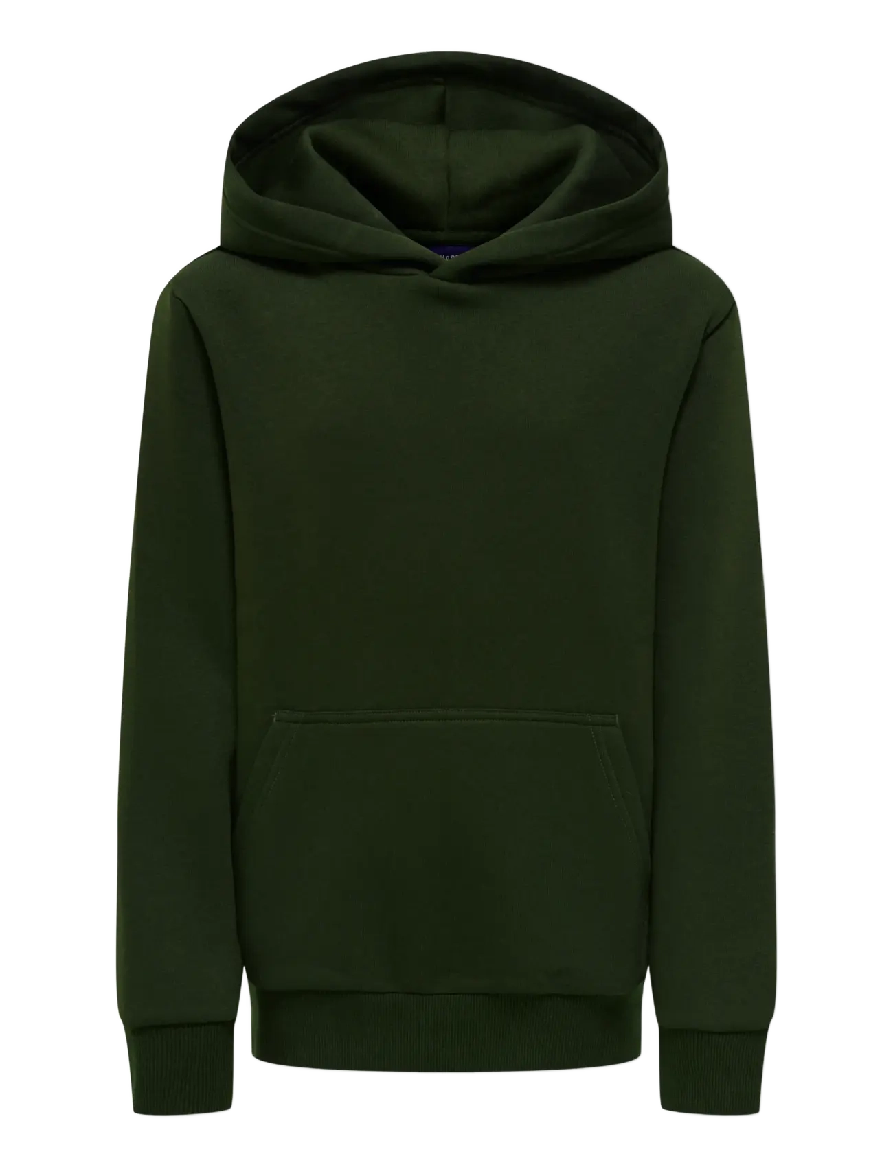 ONLY & SONS OSJCERES HOODIE SWT NOOS - Oberteile - ROSIN / khaki/green