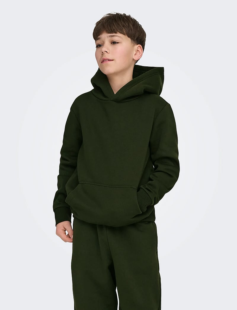 ONLY & SONS - OSJCERES HOODIE SWT NOOS - huvtröjor - rosin - 0