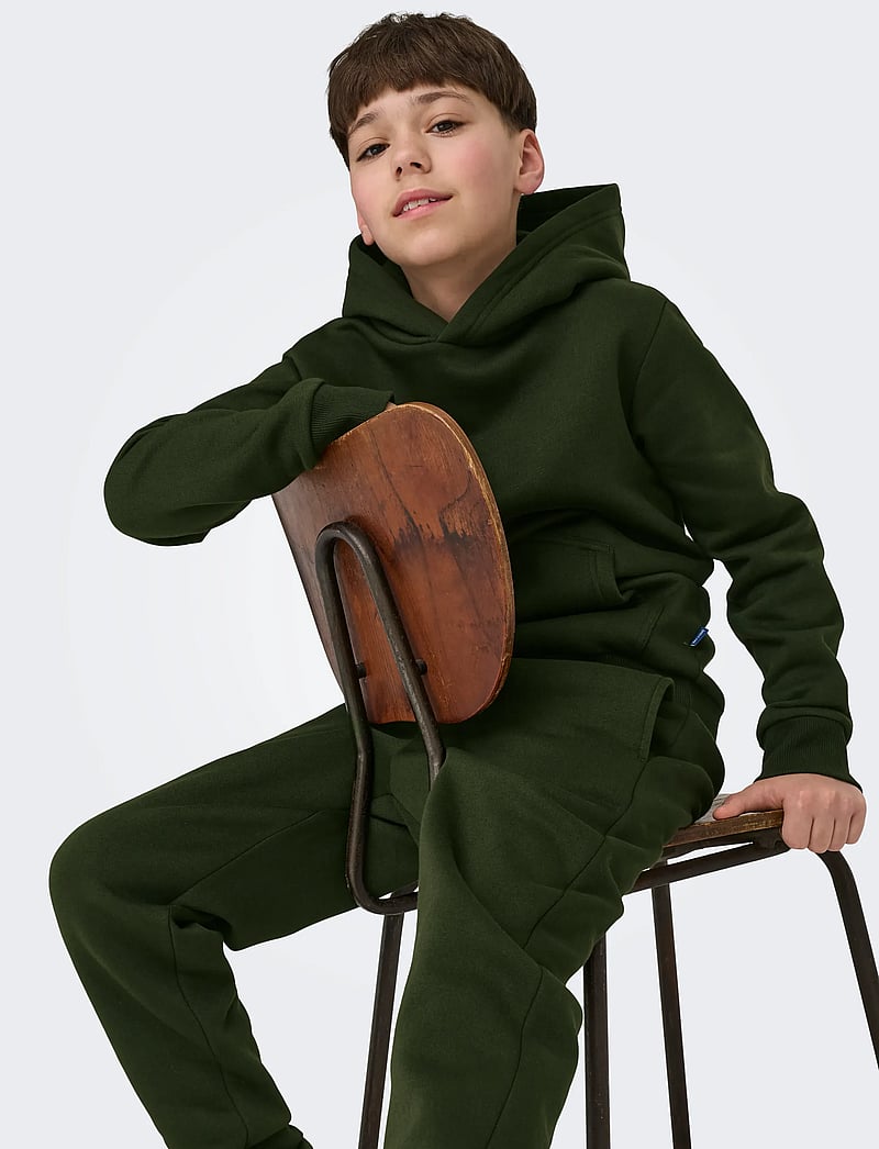 ONLY & SONS - OSJCERES HOODIE SWT NOOS - huvtröjor - rosin - 1