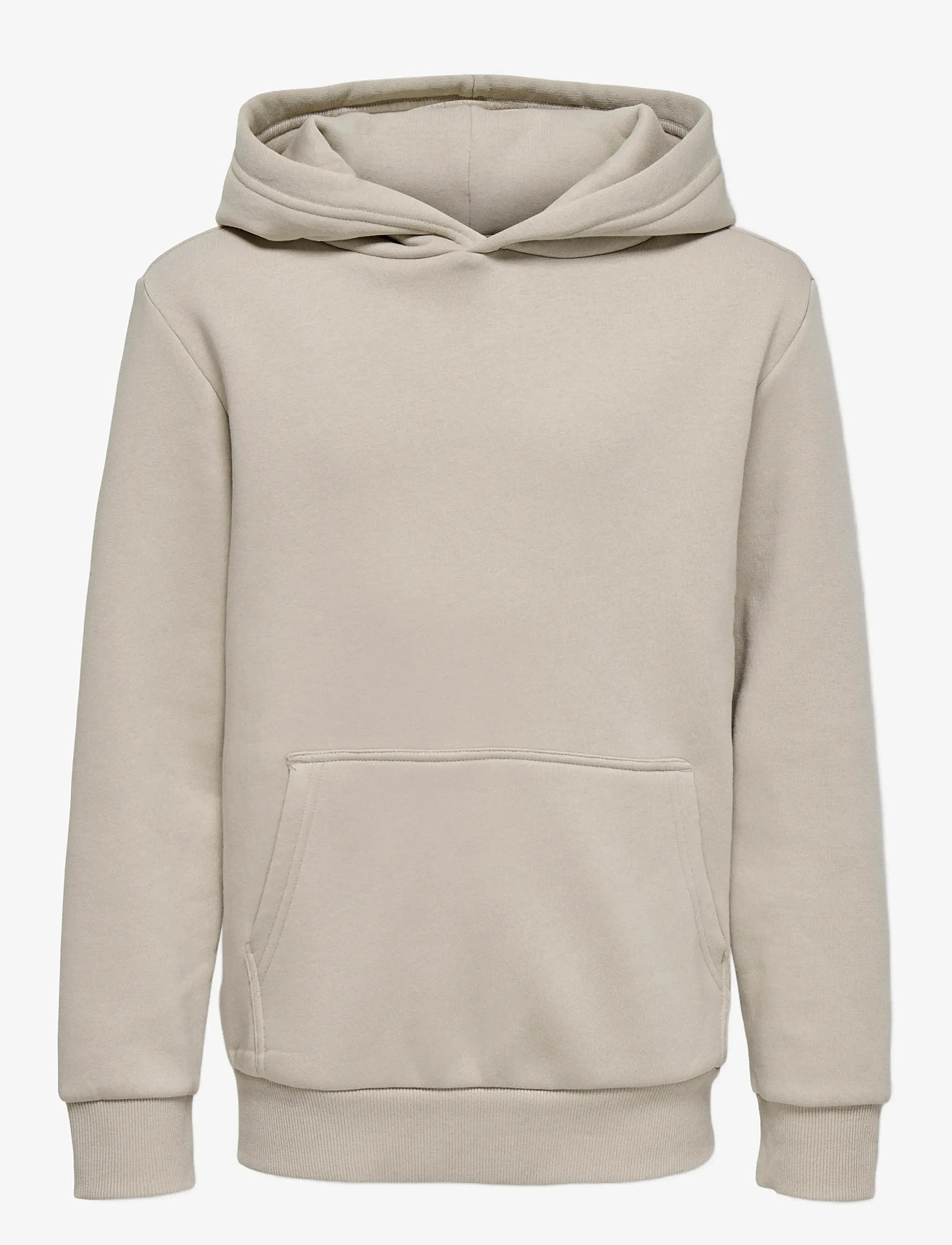 ONLY & SONS - OSJCERES HOODIE SWT NOOS - huvtröjor - silver lining - 1