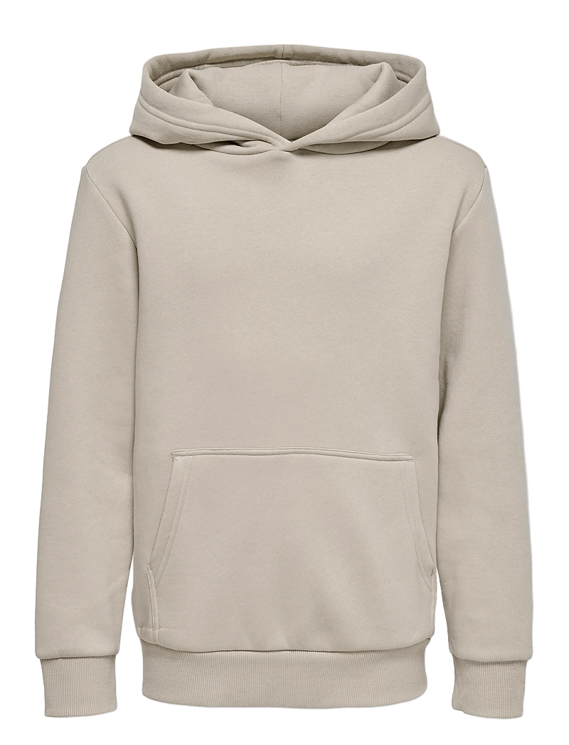 ONLY & SONS - OSJCERES HOODIE SWT NOOS - huvtröjor - silver lining - 1