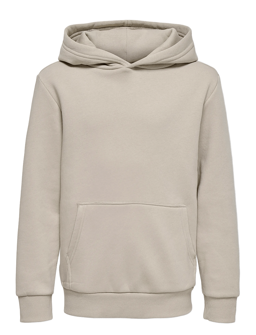 ONLY & SONS - OSJCERES HOODIE SWT NOOS - kapuutsiga dressipluusid - silver lining - 1