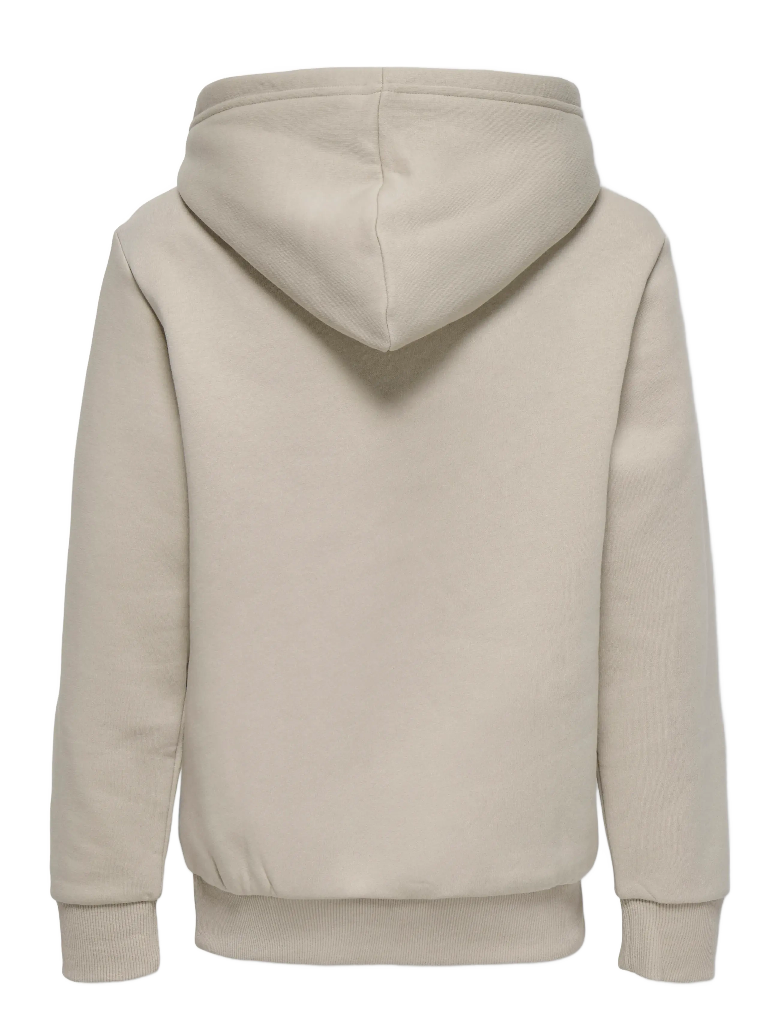 ONLY & SONS - OSJCERES HOODIE SWT NOOS - kapuutsiga dressipluusid - silver lining - 2