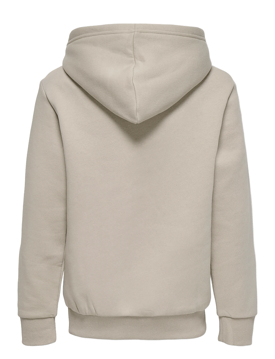 ONLY & SONS - OSJCERES HOODIE SWT NOOS - kapuutsiga dressipluusid - silver lining - 2