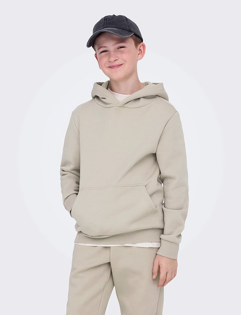 ONLY & SONS - OSJCERES HOODIE SWT NOOS - huvtröjor - silver lining - 0