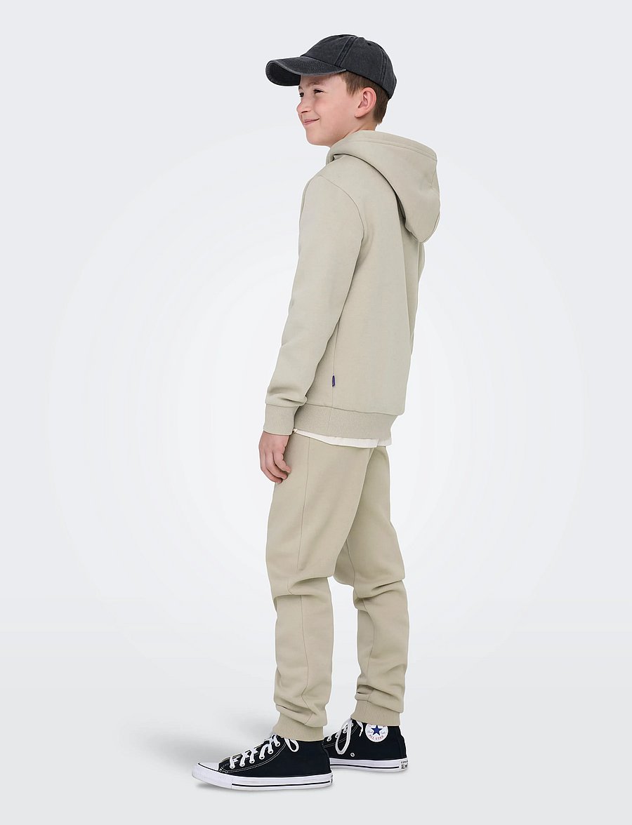ONLY & SONS - OSJCERES HOODIE SWT NOOS - kapuutsiga dressipluusid - silver lining - 4