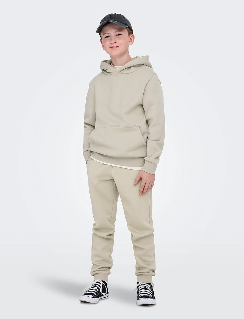 ONLY & SONS - OSJCERES HOODIE SWT NOOS - huvtröjor - silver lining - 3