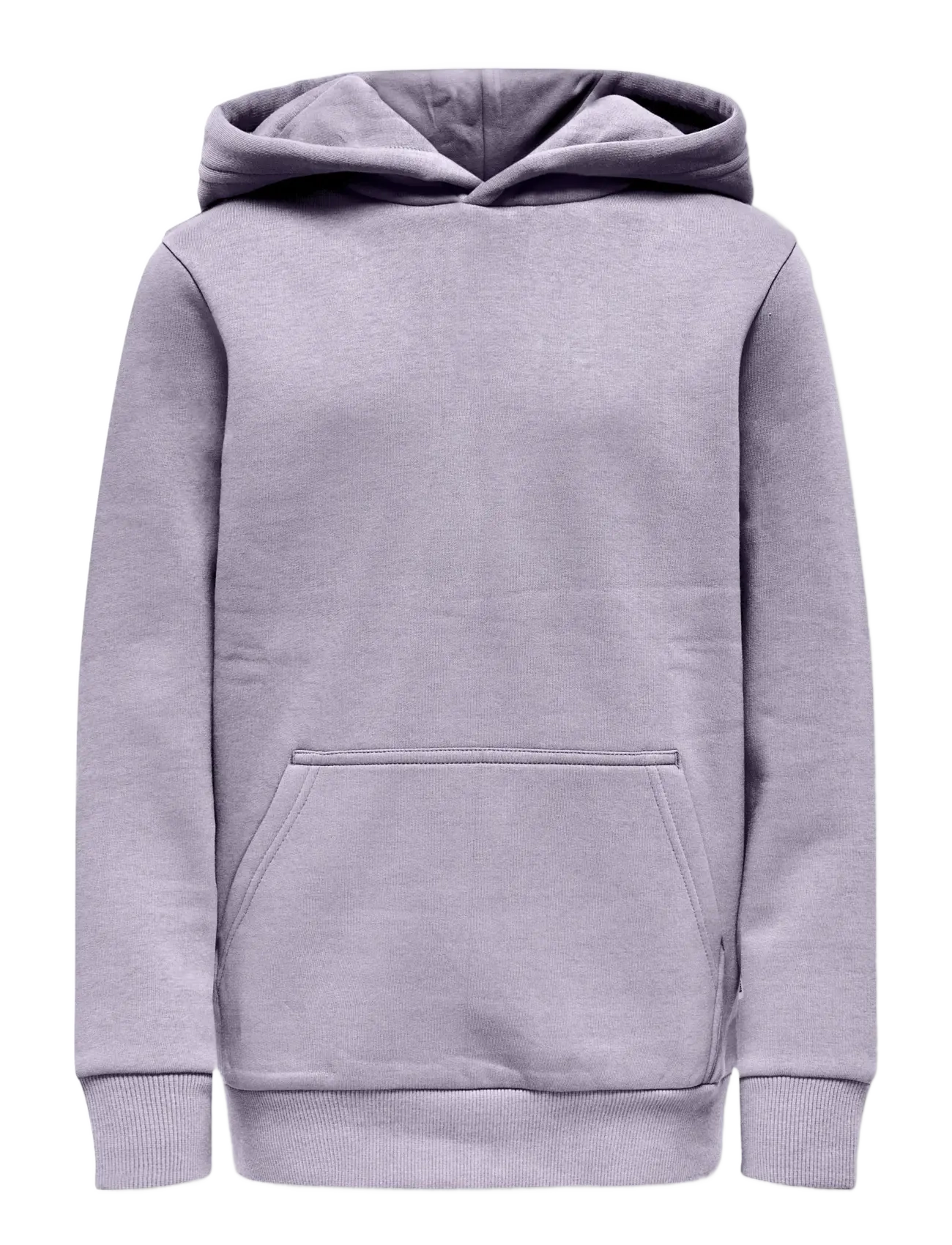 ONLY & SONS OSJCERES HOODIE SWT NOOS - Oberteile - THISTLE / purple
