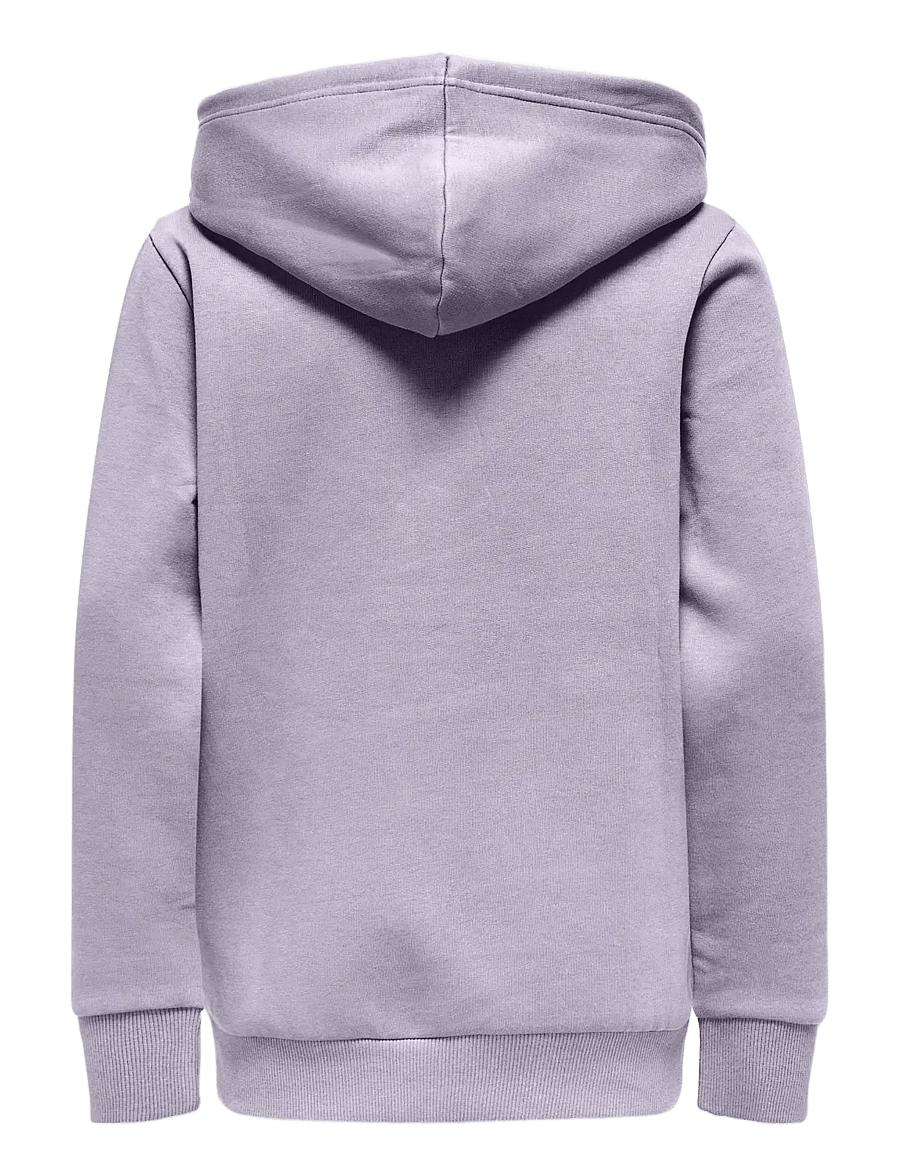 ONLY & SONS - OSJCERES HOODIE SWT NOOS - kapuzenpullover - thistle - 1
