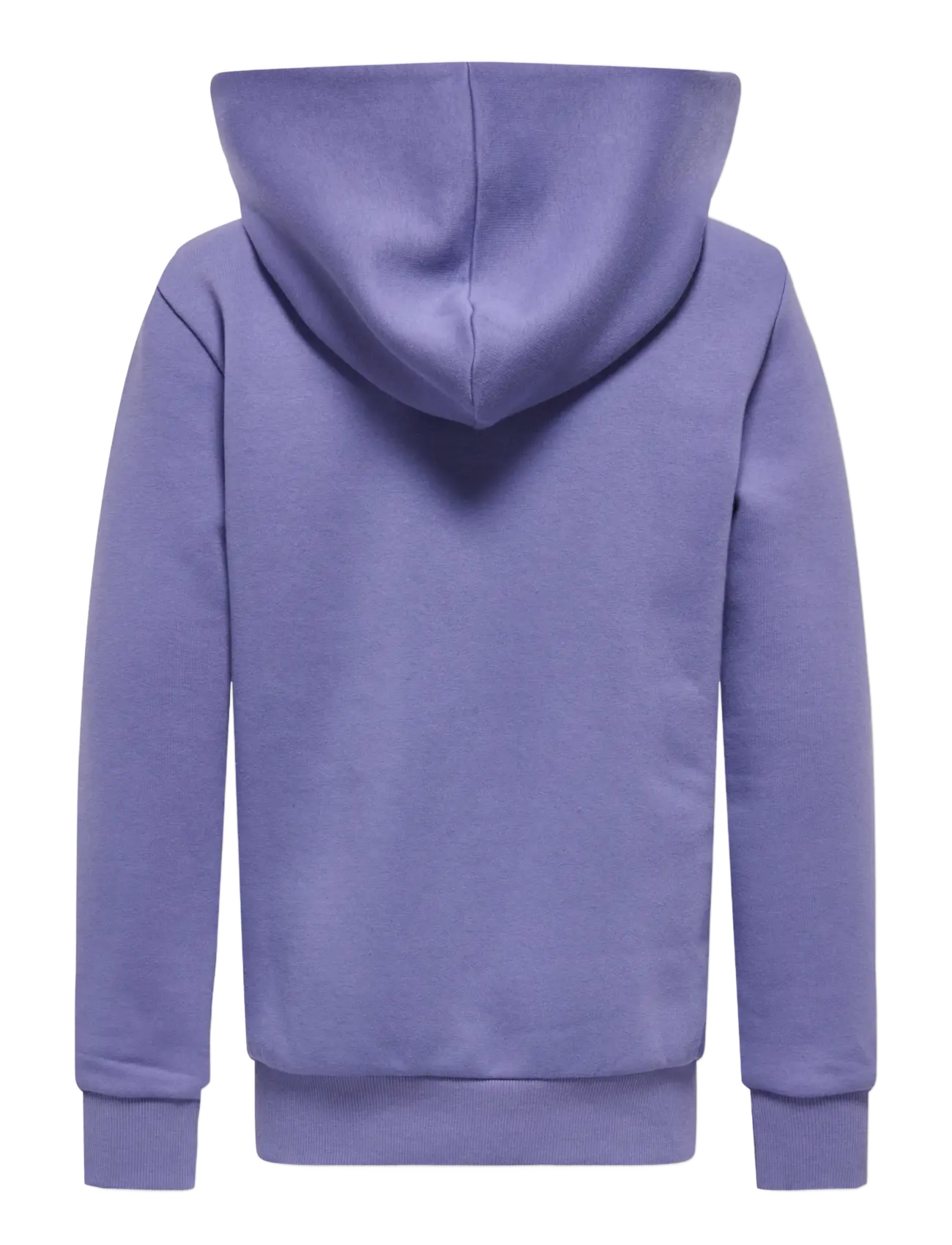 ONLY & SONS - OSJCERES HOODIE SWT NOOS - huvtröjor - twilight purple - 2