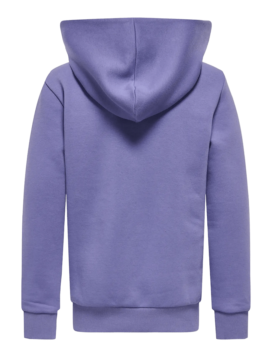 ONLY & SONS - OSJCERES HOODIE SWT NOOS - huvtröjor - twilight purple - 2