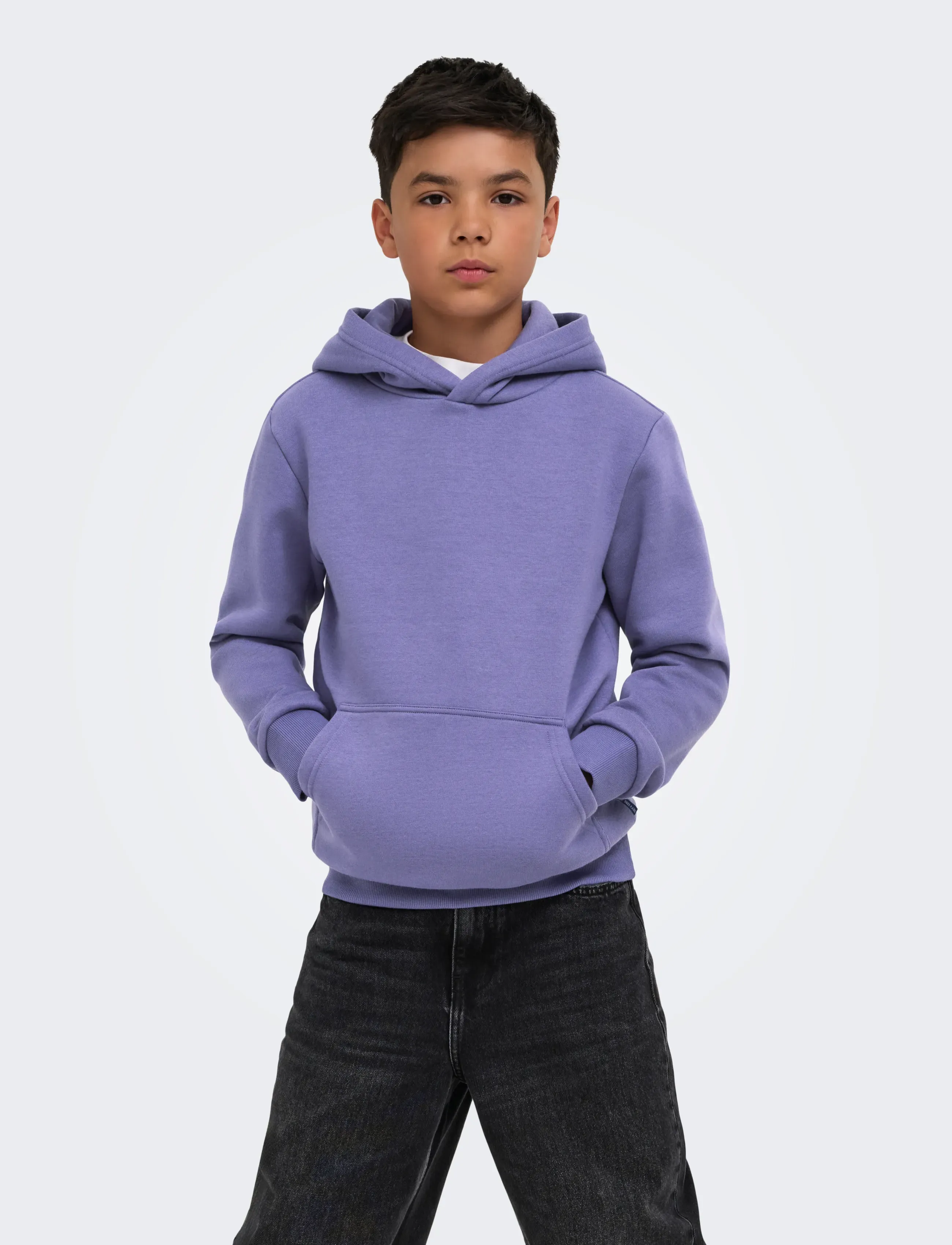 ONLY & SONS OSJCERES HOODIE SWT NOOS - Sweatshirts & Huvtröjor - TWILIGHT PURPLE / purple