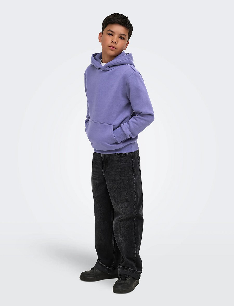 ONLY & SONS - OSJCERES HOODIE SWT NOOS - huvtröjor - twilight purple - 4