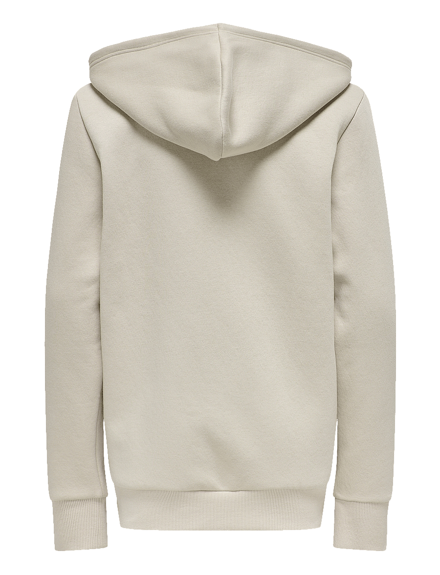 ONLY & SONS - OSJCERES ZIP THR. HOODIE SWT NOOS - pulls à capuche - silver lining - 2