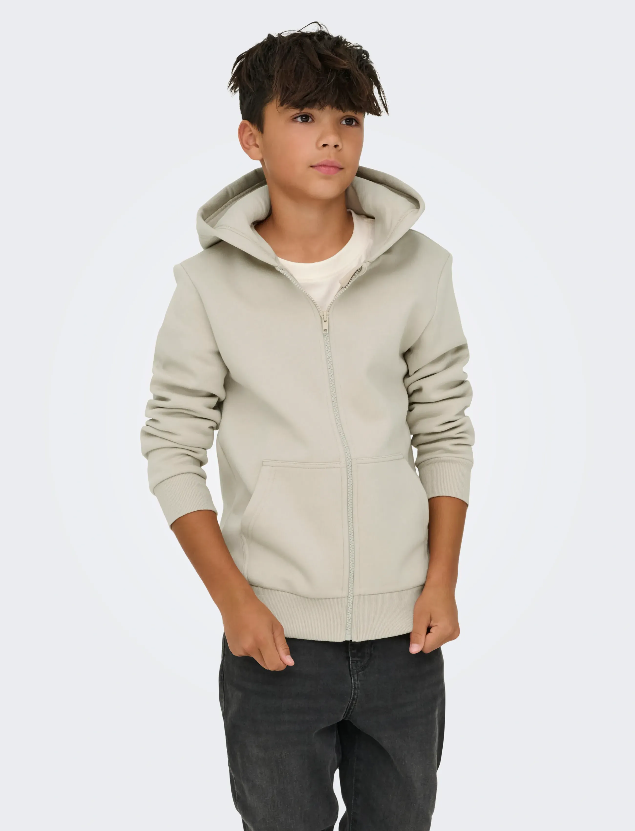 ONLY & SONS OSJCERES ZIP THR. HOODIE SWT NOOS - Sweatshirts & Hættetrøjer - SILVER LINING / cream