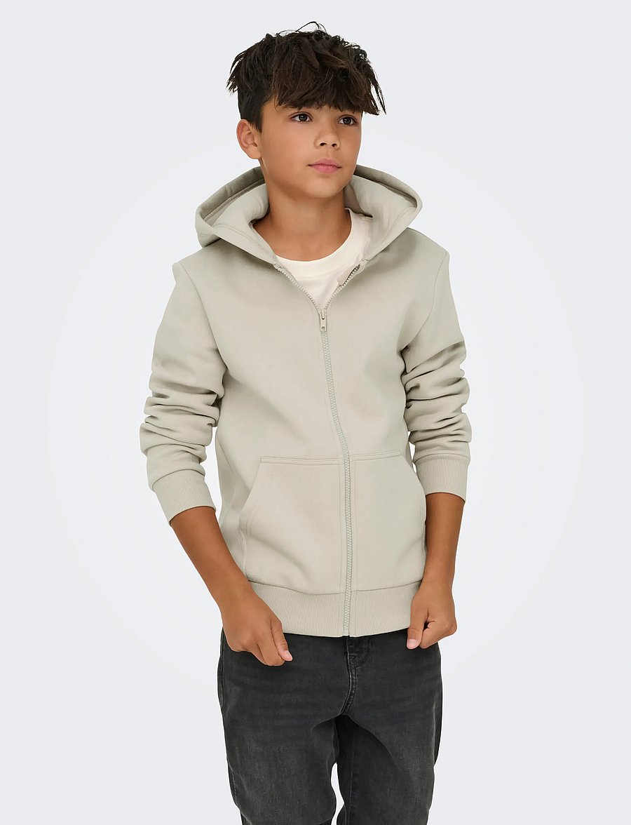 ONLY & SONS - OSJCERES ZIP THR. HOODIE SWT NOOS - pulls à capuche - silver lining - 0