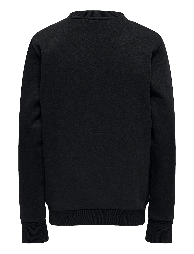ONLY & SONS - OSJCERES CREW NECK SWT NOOS - sweatshirts - black - 2