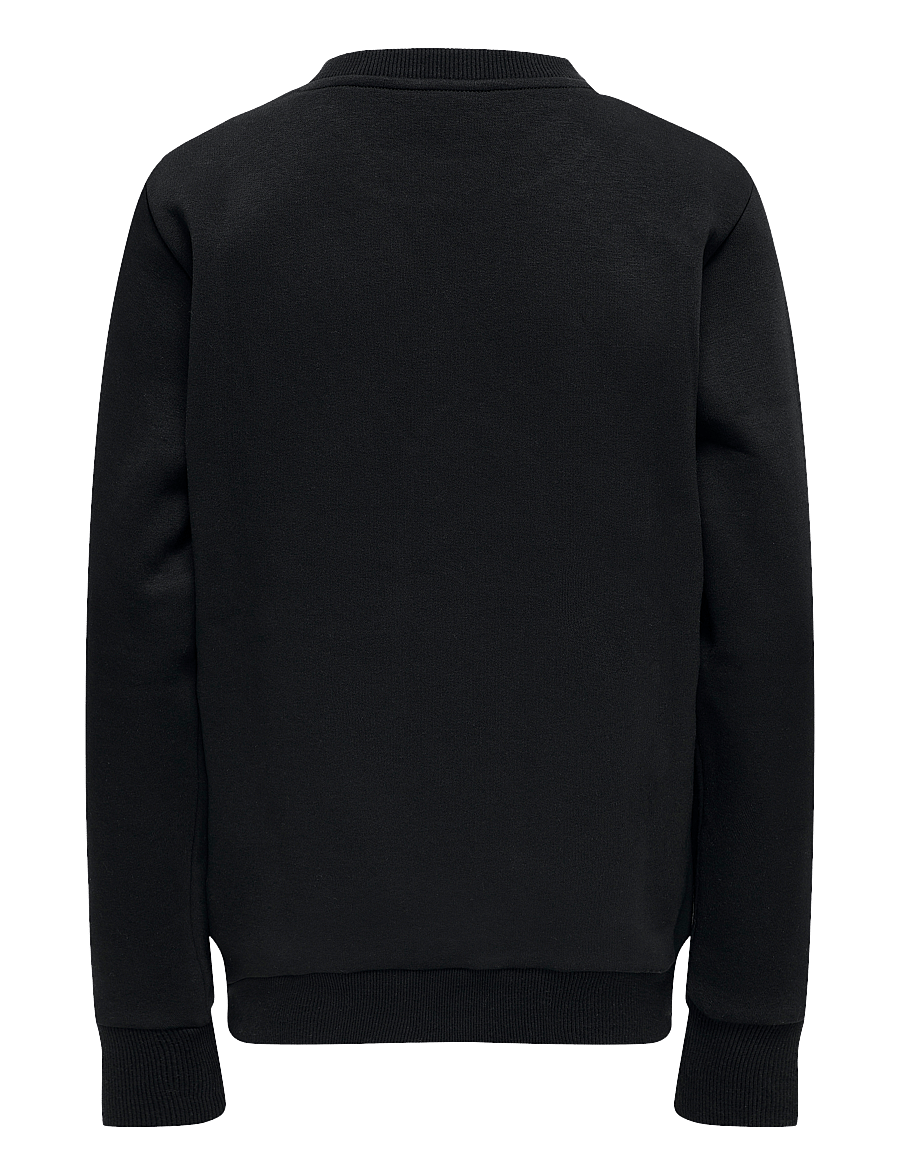 ONLY & SONS - OSJCERES CREW NECK SWT NOOS - sweatshirts - black - 2