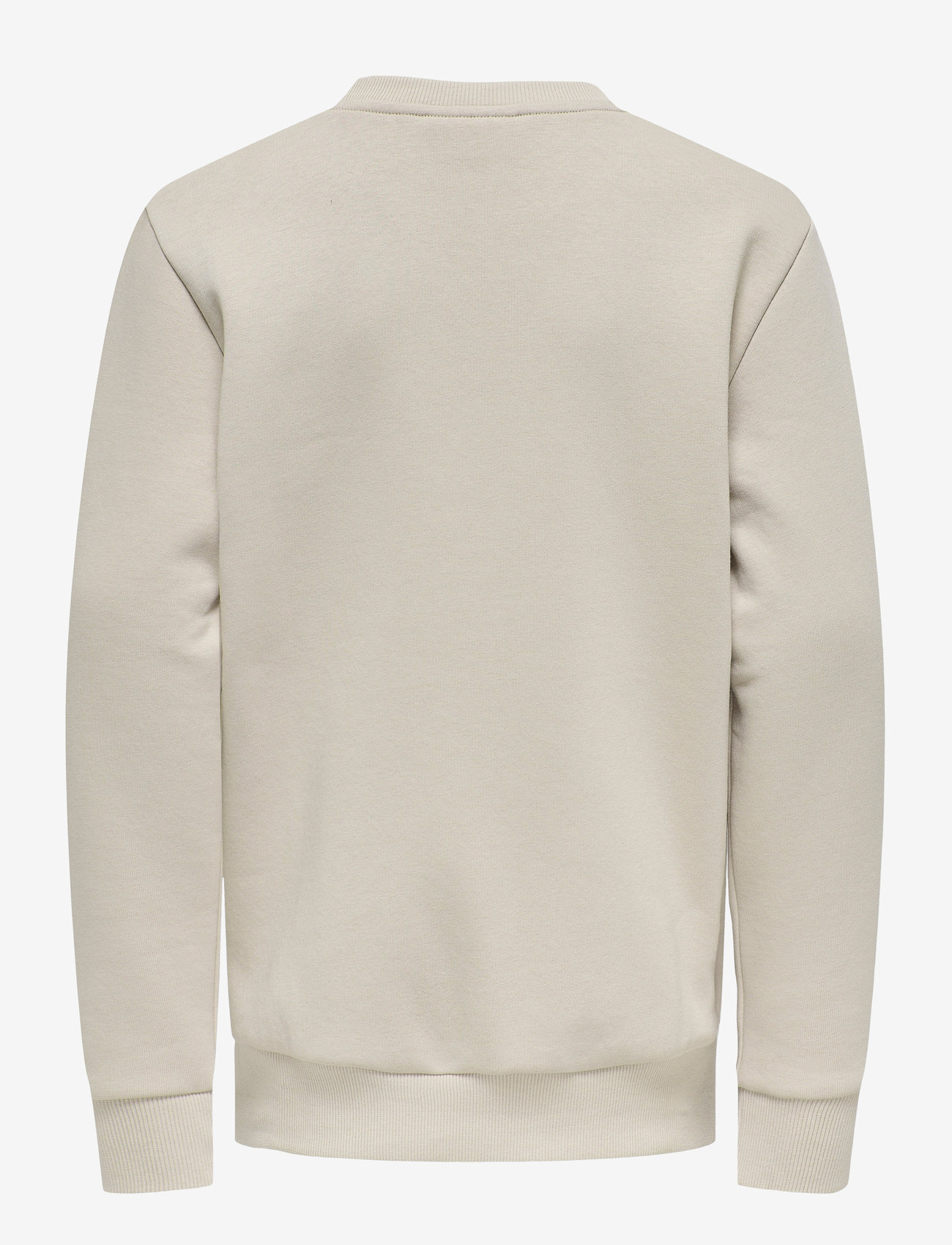 ONLY & SONS - OSJCERES CREW NECK SWT NOOS - sügisesed riided - silver lining - 1