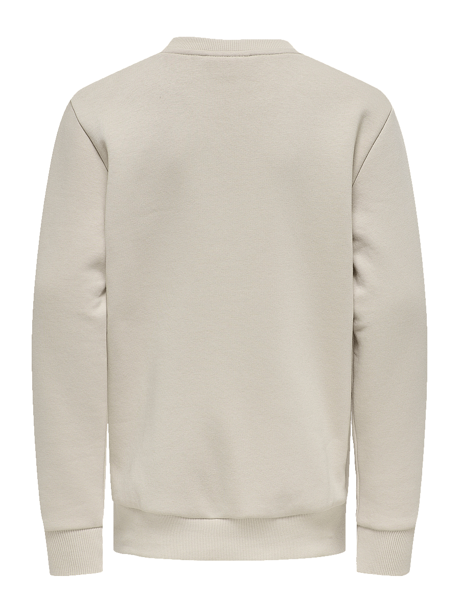 ONLY & SONS - OSJCERES CREW NECK SWT NOOS - sweatshirts - silver lining - 2
