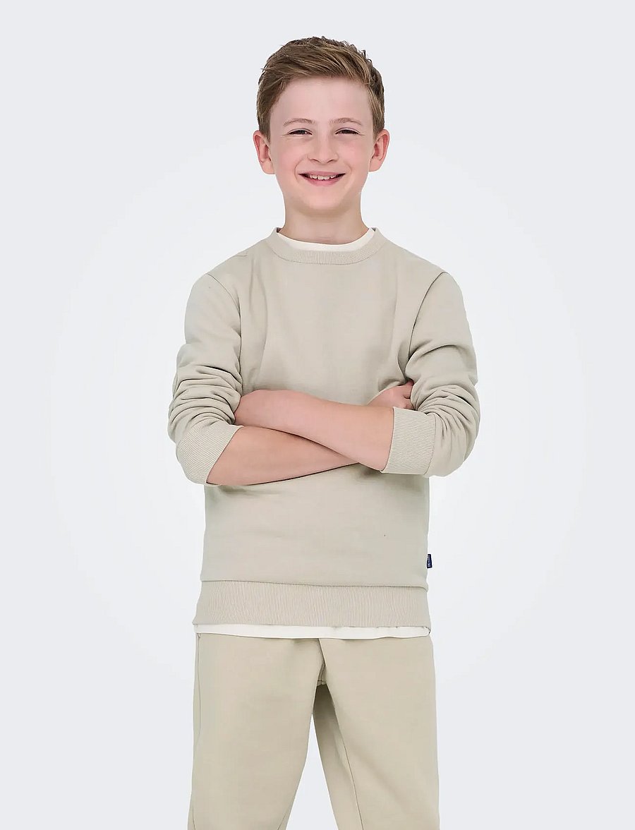 ONLY & SONS - OSJCERES CREW NECK SWT NOOS - sweatshirts - silver lining - 0
