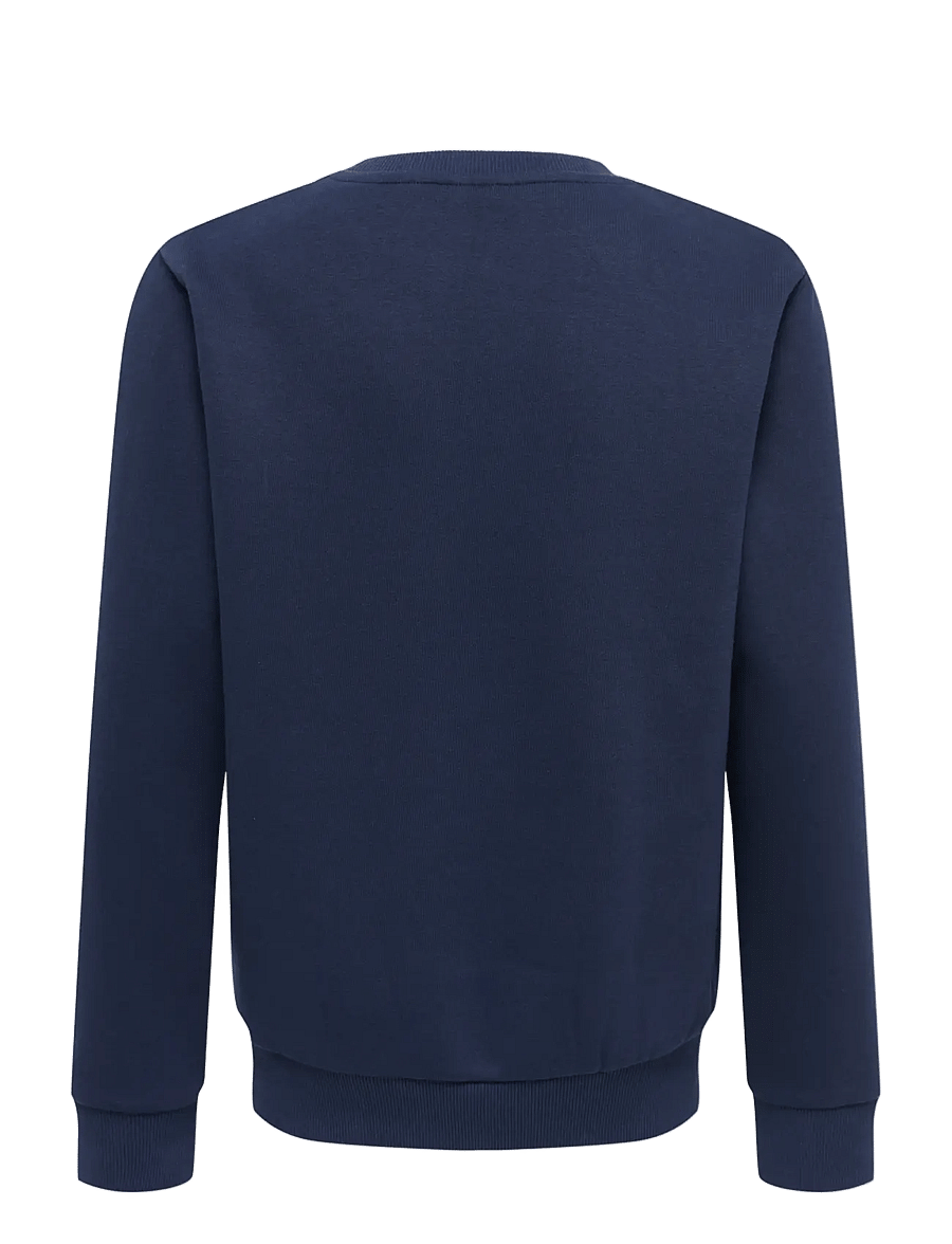 ONLY & SONS - OSJCERES CREW NECK SWT NOOS - sweatshirts - vintage indigo - 1