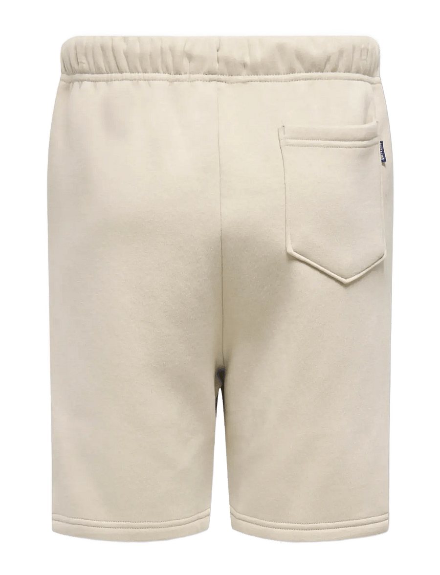ONLY & SONS - OSJCERES SHORTS SWT NOOS - sweatshorts - silver lining - 2
