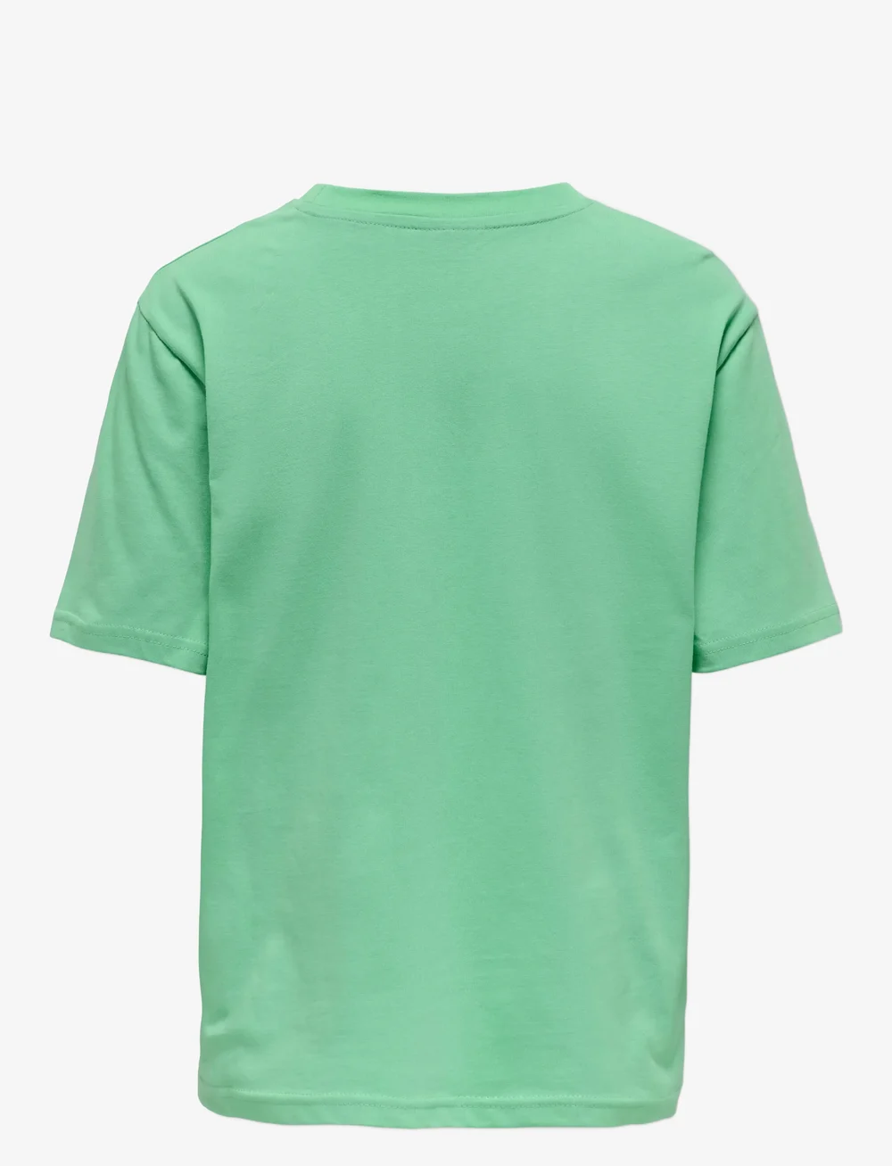 ONLY & SONS - OSJSUMMERLIFE S/S RLX PRINTED TEE JRS - short-sleeved t-shirts - ming - 2