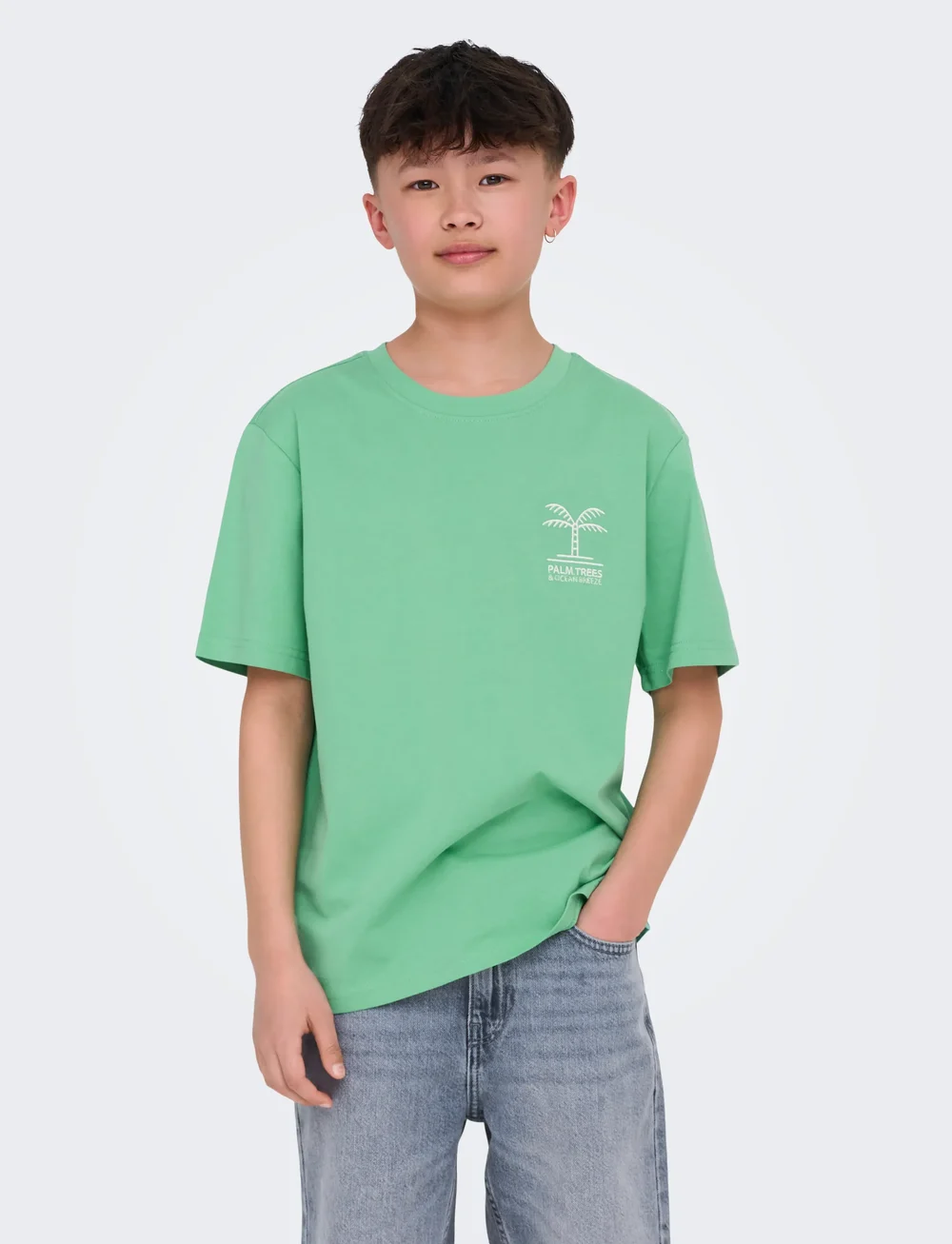 ONLY & SONS - OSJSUMMERLIFE S/S RLX PRINTED TEE JRS - short-sleeved t-shirts - ming - 0