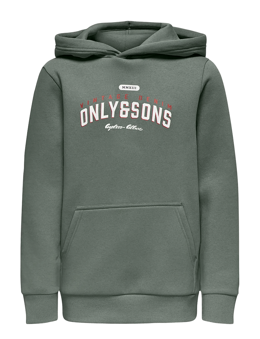 ONLY & SONS - OSJCERES REG VINTAGE PRINT HOOD SWT NOOS - kapuzenpullover - castor gray - 1