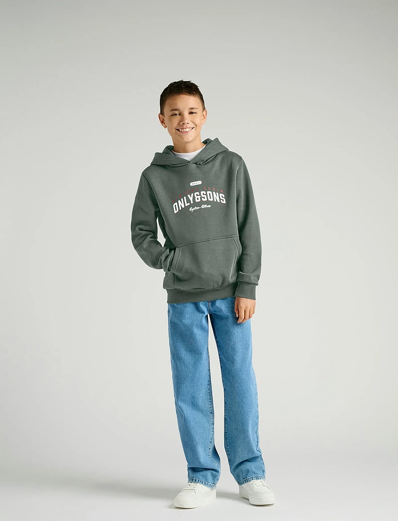 ONLY & SONS - OSJCERES REG VINTAGE PRINT HOOD SWT NOOS - huvtröjor - castor gray - 0