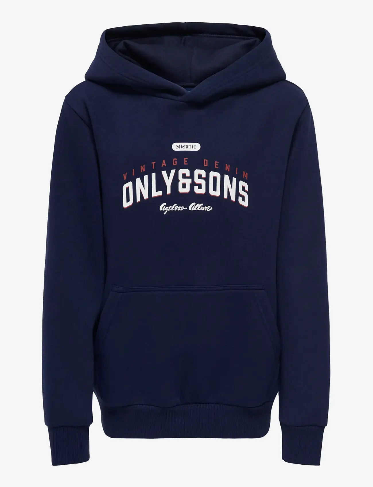 ONLY & SONS - OSJCERES REG VINTAGE PRINT HOOD SWT NOOS - kapuzenpullover - evening blue - 1