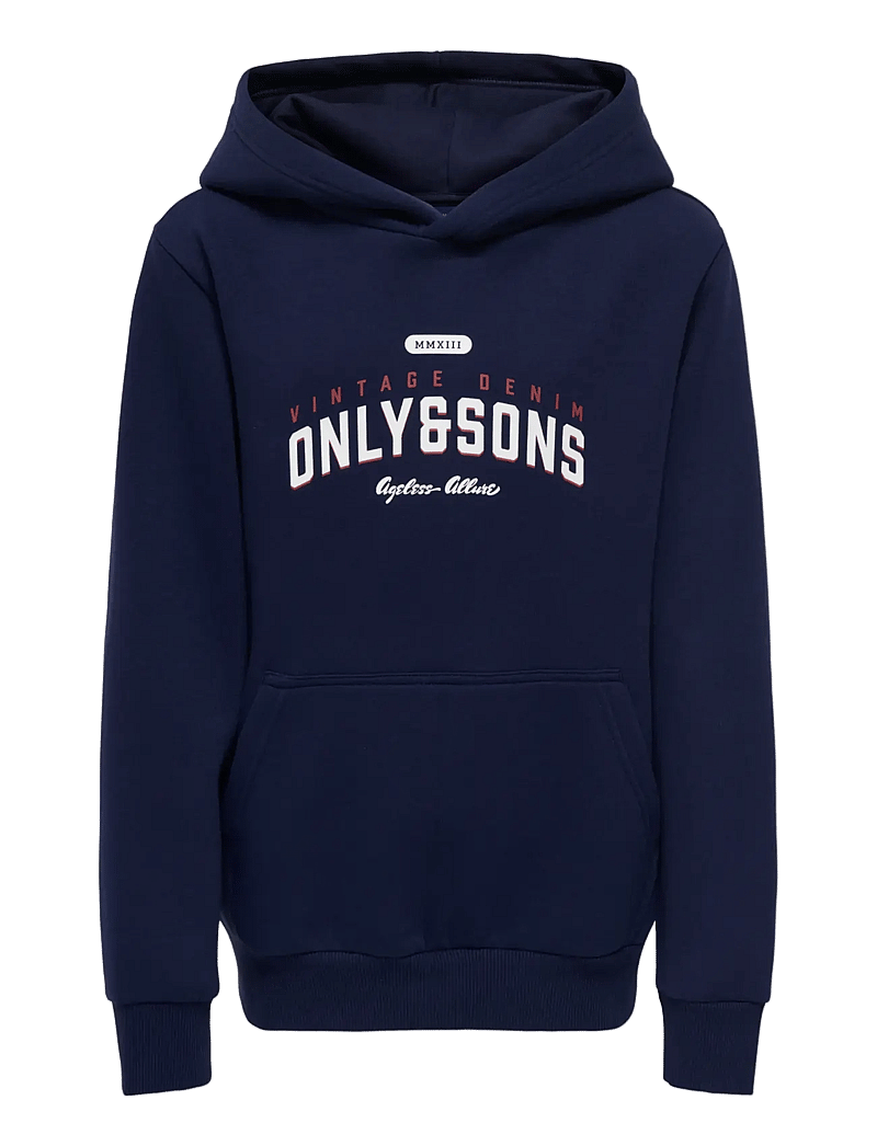ONLY & SONS - OSJCERES REG VINTAGE PRINT HOOD SWT NOOS - kapuzenpullover - evening blue - 1