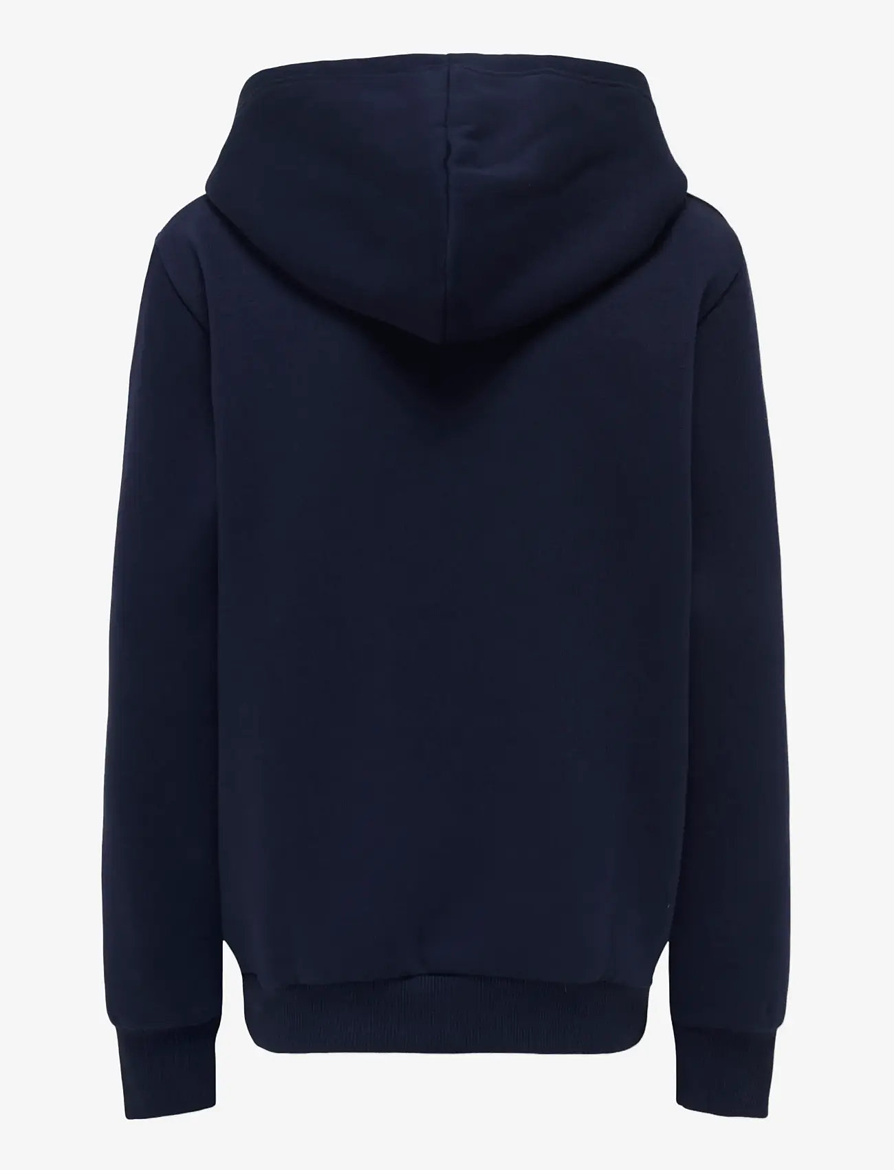 ONLY & SONS - OSJCERES REG VINTAGE PRINT HOOD SWT NOOS - kapuzenpullover - evening blue - 2