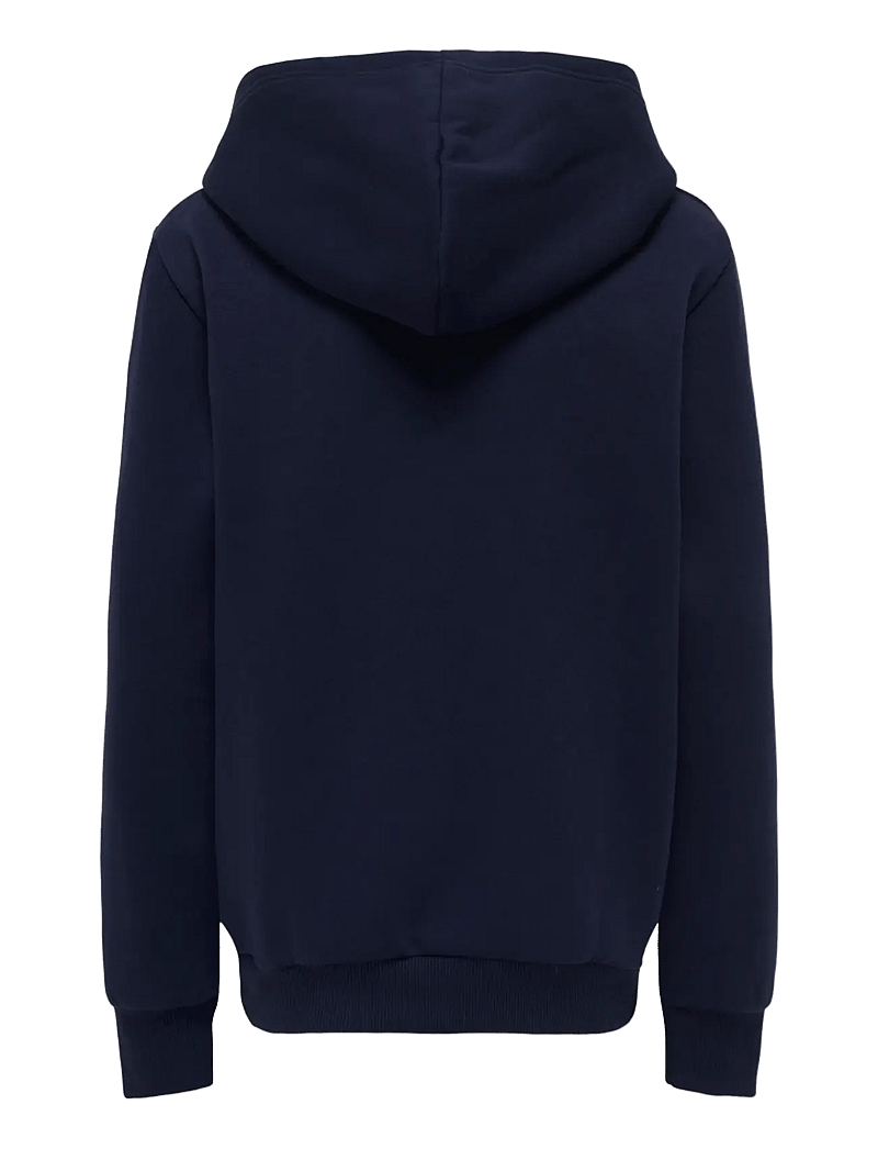 ONLY & SONS - OSJCERES REG VINTAGE PRINT HOOD SWT NOOS - kapuzenpullover - evening blue - 2