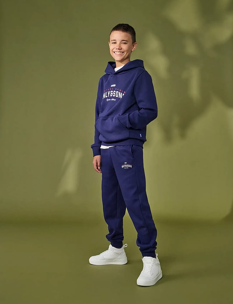 ONLY & SONS - OSJCERES REG VINTAGE PRINT HOOD SWT NOOS - kapuzenpullover - evening blue - 0