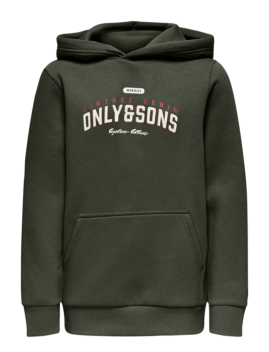 ONLY & SONS - OSJCERES REG VINTAGE PRINT HOOD SWT NOOS - kapuzenpullover - rosin - 0
