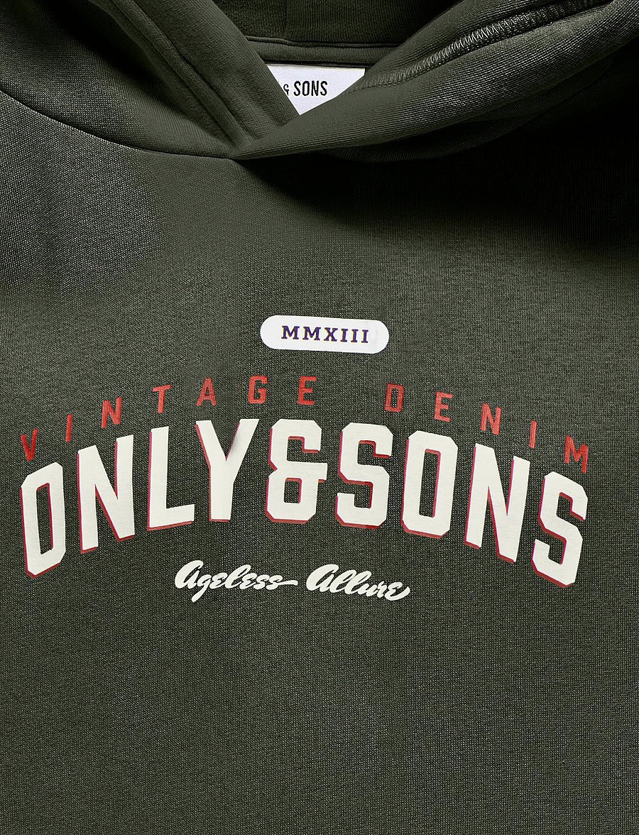ONLY & SONS - OSJCERES REG VINTAGE PRINT HOOD SWT NOOS - kapuzenpullover - rosin - 2