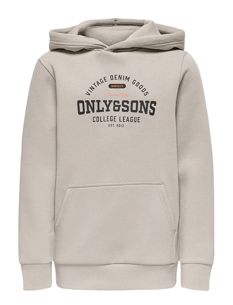 ONLY & SONS - OSJCERES REG VINTAGE PRINT HOOD SWT NOOS - huvtröjor - silver lining - 1
