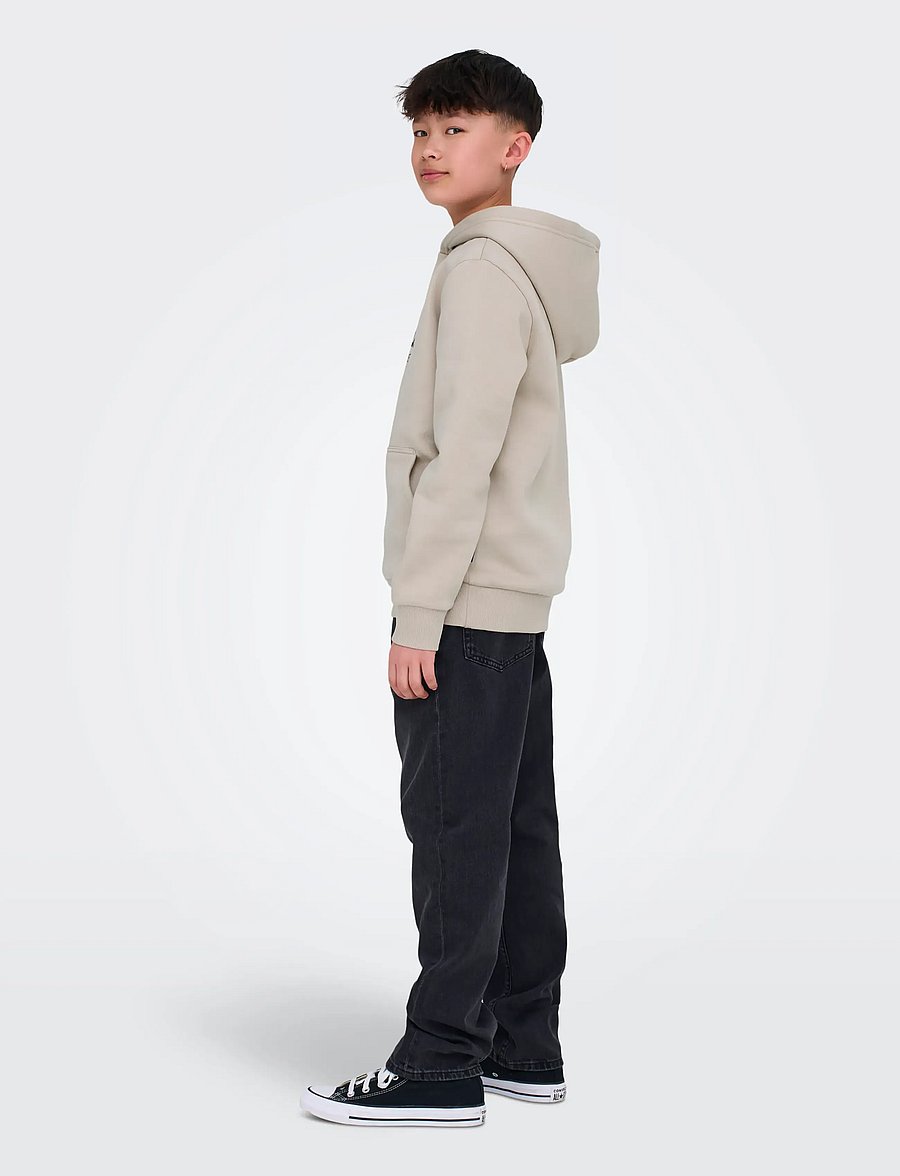 ONLY & SONS - OSJCERES REG VINTAGE PRINT HOOD SWT NOOS - huvtröjor - silver lining - 3