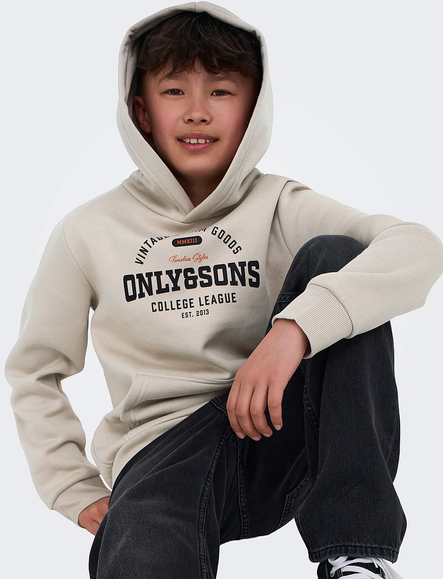 ONLY & SONS - OSJCERES REG VINTAGE PRINT HOOD SWT NOOS - huvtröjor - silver lining - 4