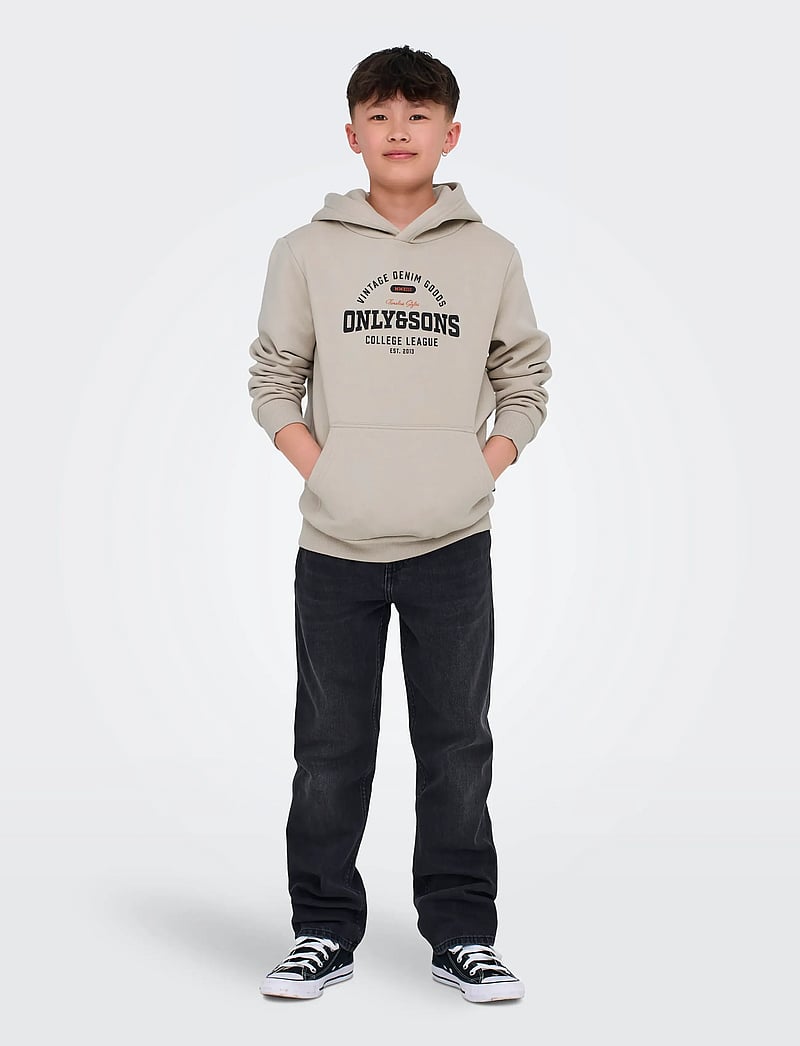 ONLY & SONS - OSJCERES REG VINTAGE PRINT HOOD SWT NOOS - huvtröjor - silver lining - 5