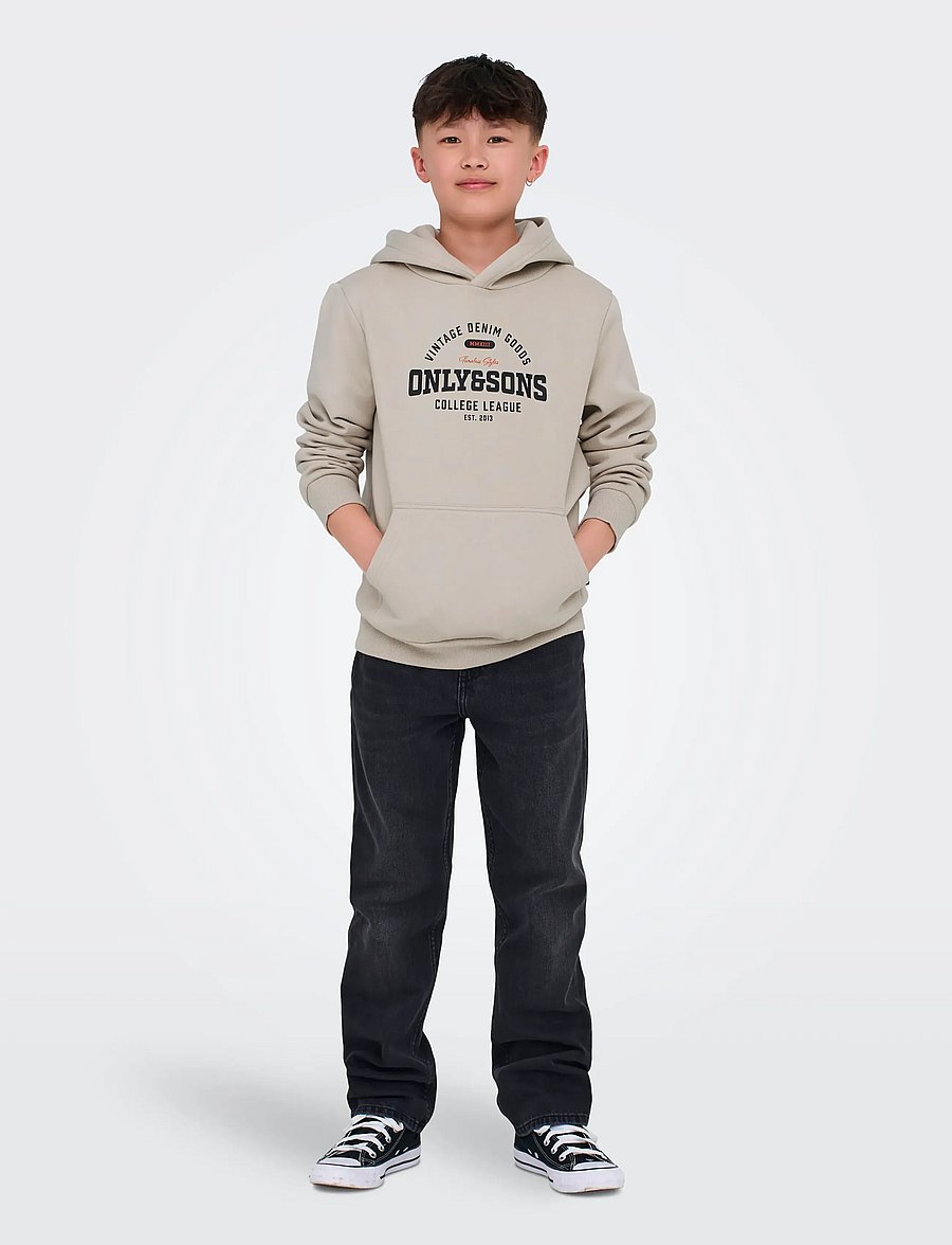 ONLY & SONS - OSJCERES REG VINTAGE PRINT HOOD SWT NOOS - huvtröjor - silver lining - 5