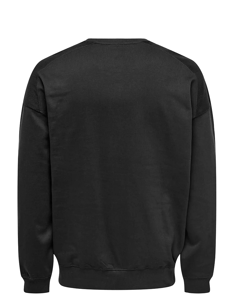 ONLY & SONS - ONSEVANS VTG LS CREW TONAL BLOCK - sweatshirts - jet black - 1
