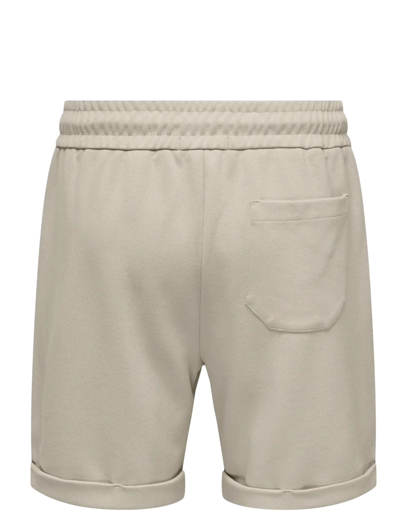 ONLY & SONS - ONSNEWKODYL REG S SHORTS NOOS - lühikesed vabaajapüksid - silver lining - 2
